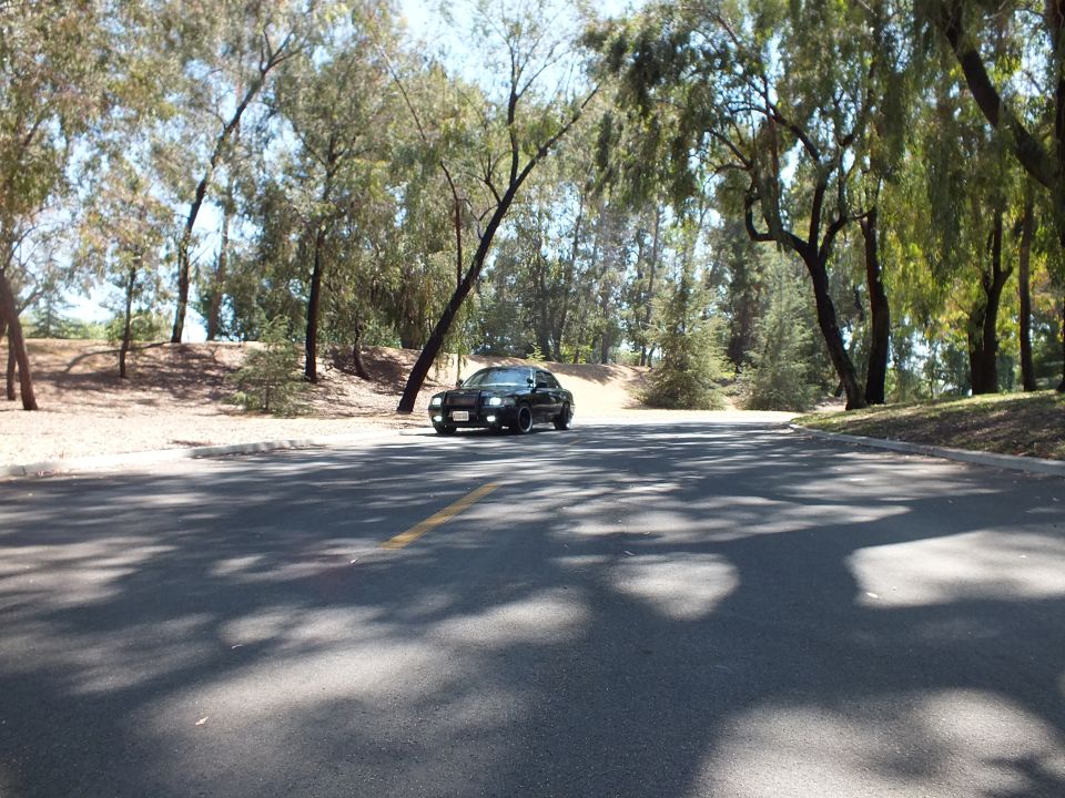 Black sedan facing the camera on a wide shaded road bordered by trees