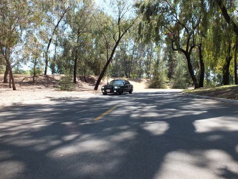 2003 Ford Crown Victoria - Front view of a black sedan, lights on, stopped on a curving shaded road