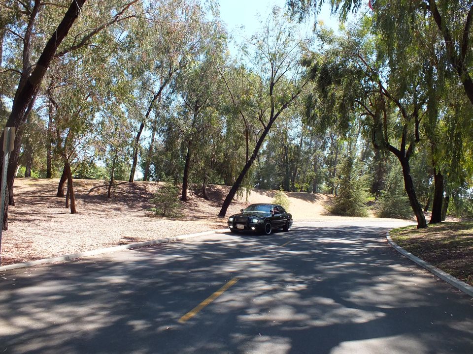 Black sedan parked at a fork in a tree-lined road with dry dirt slopes
