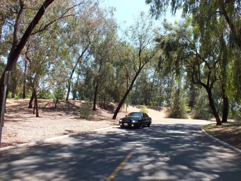 2003 Ford Crown Victoria - Distant black sedan parked on a shaded park road framed by trees