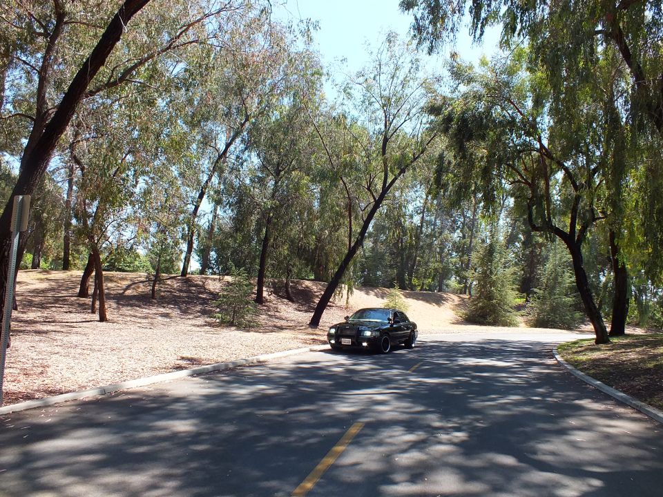 Black sedan on a curving road seen through scattered trees and dry hillsides