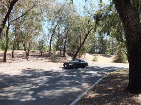 2003 Ford Crown Victoria - Black full-size sedan on a curving road framed by a tree trunk and dry banks