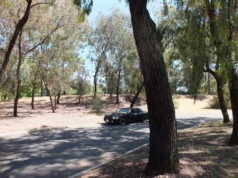 2003 Ford Crown Victoria - Black full-size sedan parked on a shaded road with a prominent tree in front