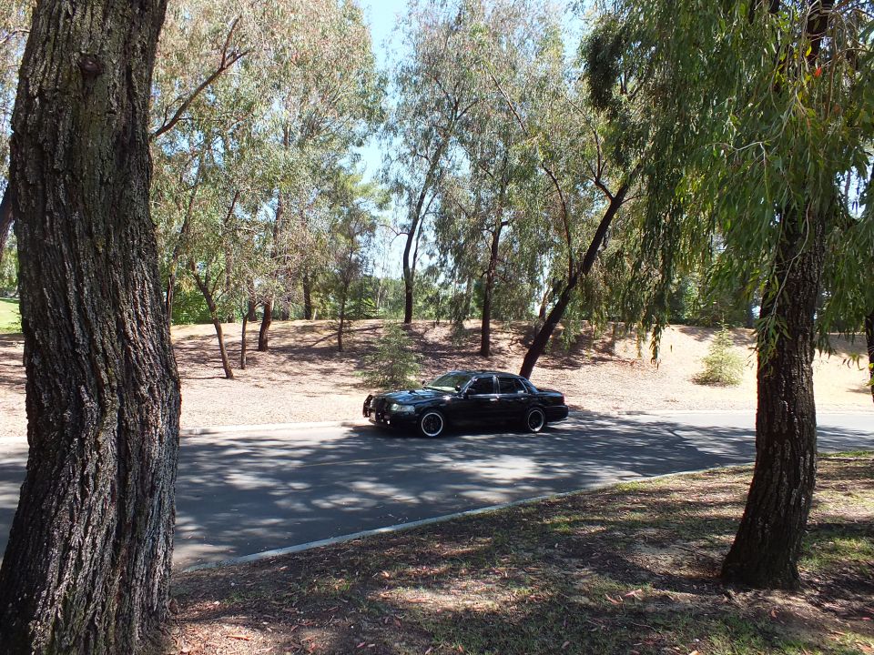 Black sedan parked on a curving road among trees and dry dirt slopes