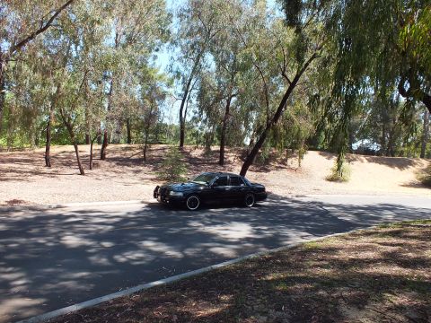 2003 Ford Crown Victoria - Side view of a lowered black full-size sedan on a shaded park road