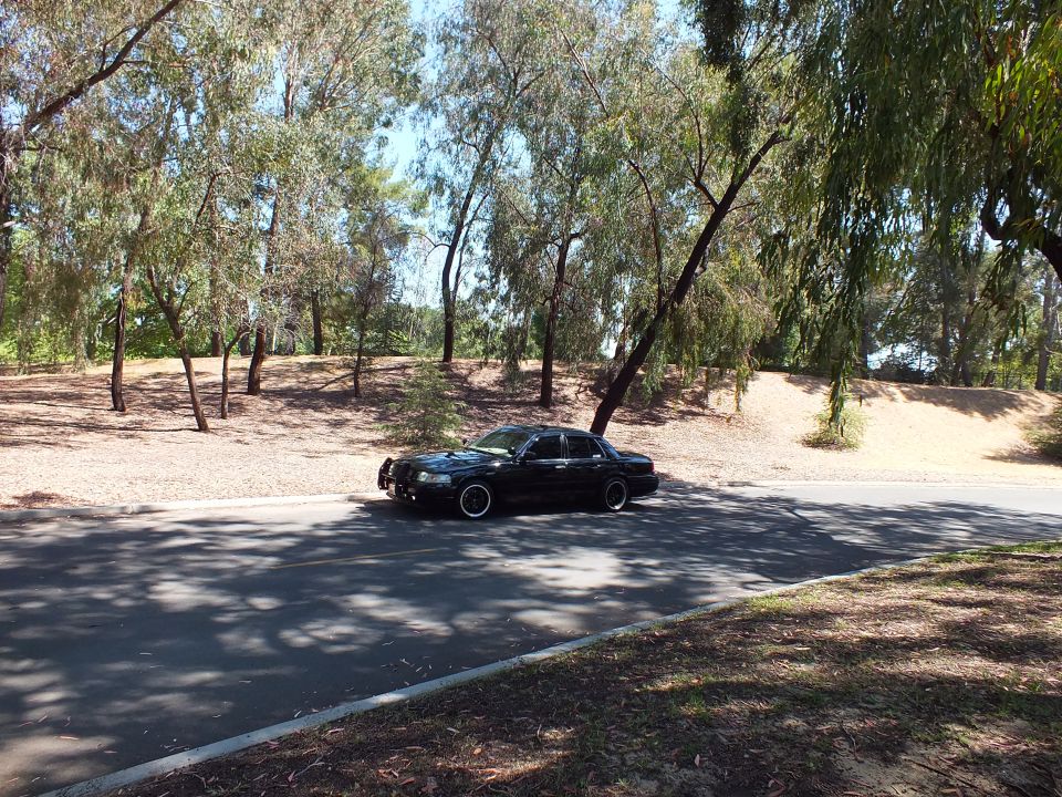 Black sedan in profile on a tree-shaded road with dry banks behind