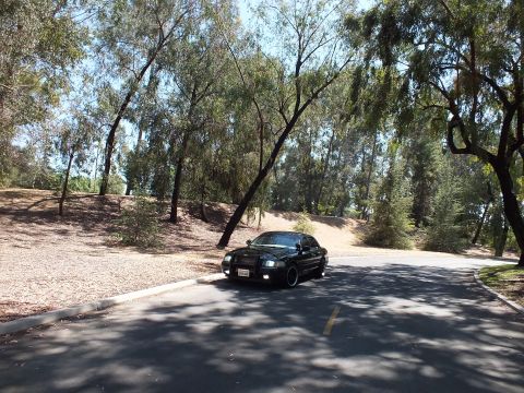 2003 Ford Crown Victoria - Front view of a black full-size sedan parked on a tree-lined park road