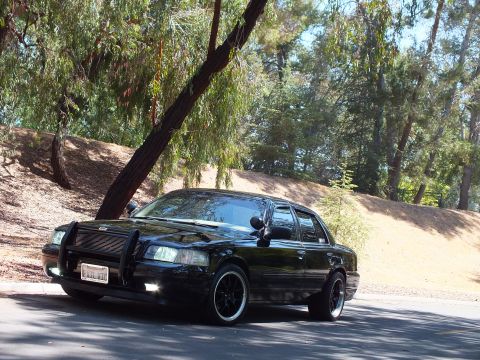 2003 Ford Crown Victoria - Black Mercury Grand Marquis photographed from the front left beneath overhanging branches.
