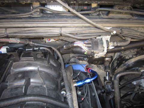 2008 Jeep Wrangler - Close-up view of engine bay wiring and plumbing with blue coolant lines and AN fittings.