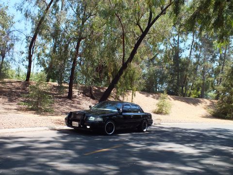 2003 Ford Crown Victoria - Wide front view of a black Mercury sedan dwarfed by overhead willow branches.