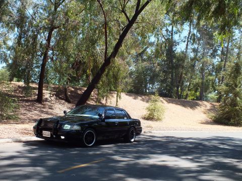 2003 Ford Crown Victoria - Front-quarter view of a lowered black sedan with dark wheels under tall trees.