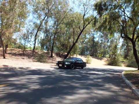 2003 Ford Crown Victoria - Wide shot of a black Mercury sedan on dark wheels beneath roadside trees.