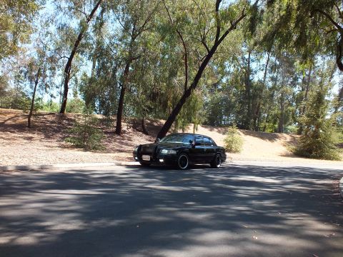 2003 Ford Crown Victoria - Distant front view of a black full-size sedan among tree-lined hillside greenery.