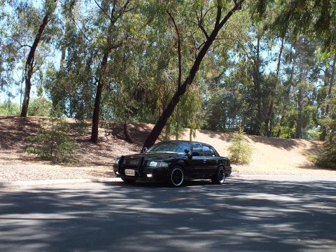 2003 Ford Crown Victoria - Wide front-quarter view of a black Mercury sedan on dark wheels in dappled shade.