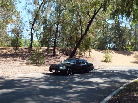 2003 Ford Crown Victoria - Distant front view of a lowered black full-size sedan beneath roadside trees.