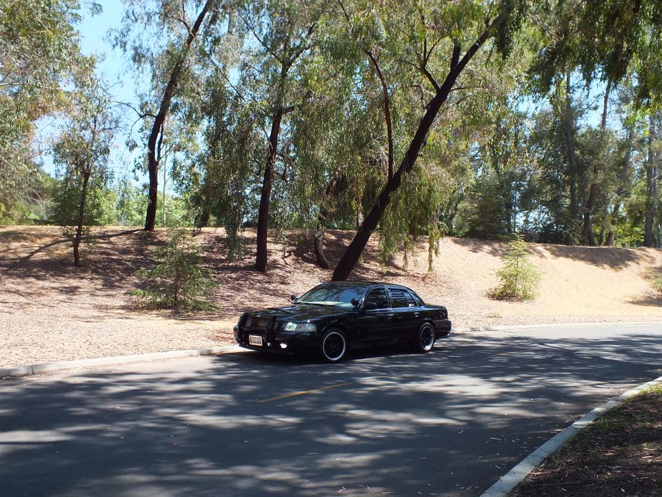 Black sedan parked across shaded tree-lined road with dry slope