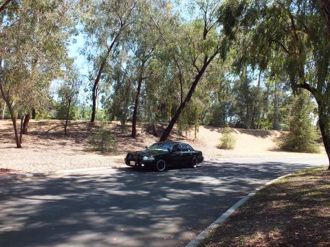 2003 Ford Crown Victoria - Lowered black full-size sedan sits on a shaded park road lined with eucalyptus trees.