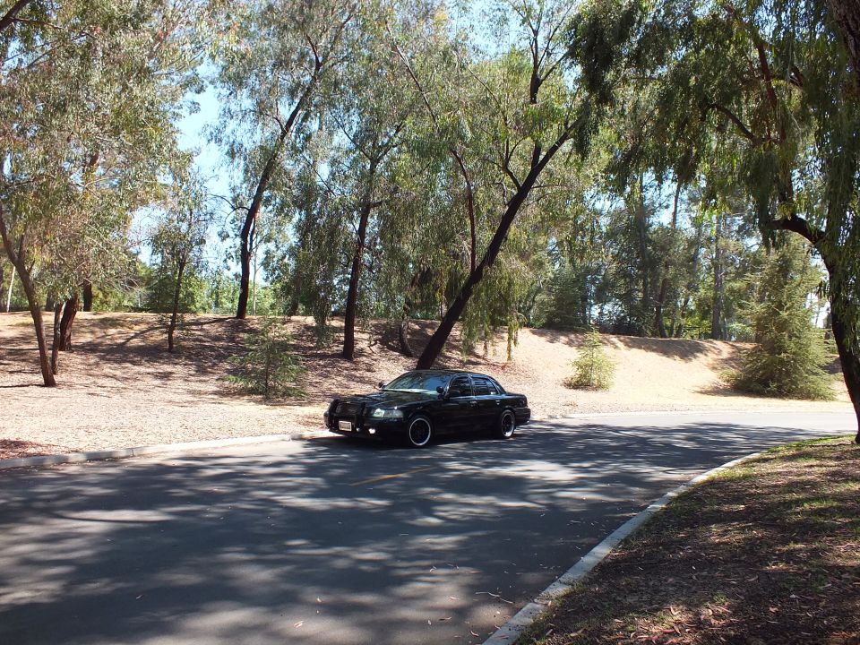 Black Ford Crown Victoria sedan lowered on black wheels parked on a curved park road