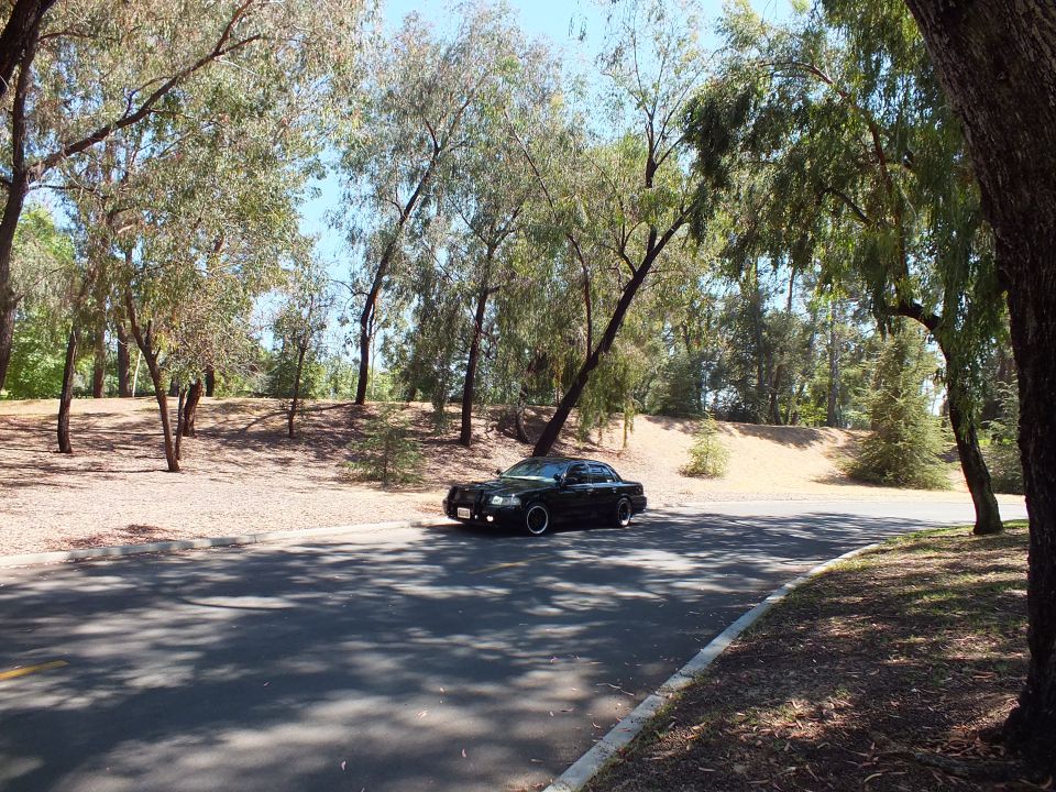Black full-size sedan with grille guard parked on a tree-lined park road
