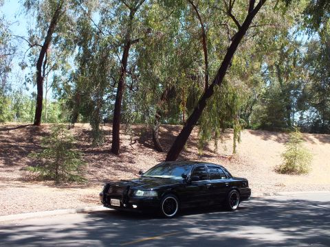 2003 Ford Crown Victoria - Side-front view of a blacked-out full-size sedan parked under hanging tree branches.