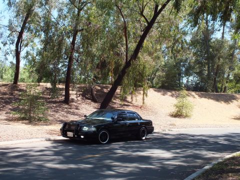 2003 Ford Crown Victoria - Distant front view of a lowered black sedan on a sunlit park road.