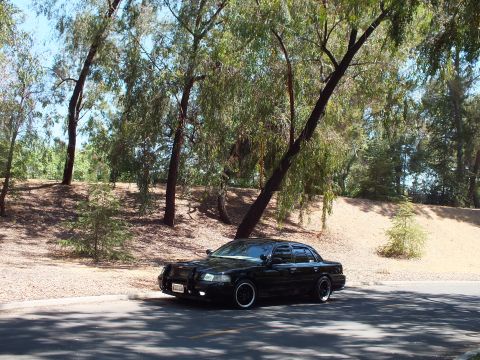 2003 Ford Crown Victoria - Front-quarter view of a blacked-out full-size sedan on a shaded park road.