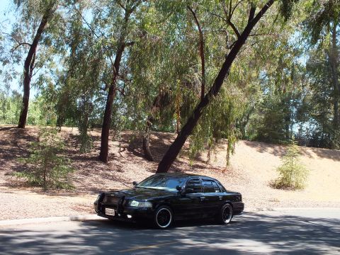 2003 Ford Crown Victoria - Black Crown Victoria with push-bar guard sits beneath drooping eucalyptus branches.