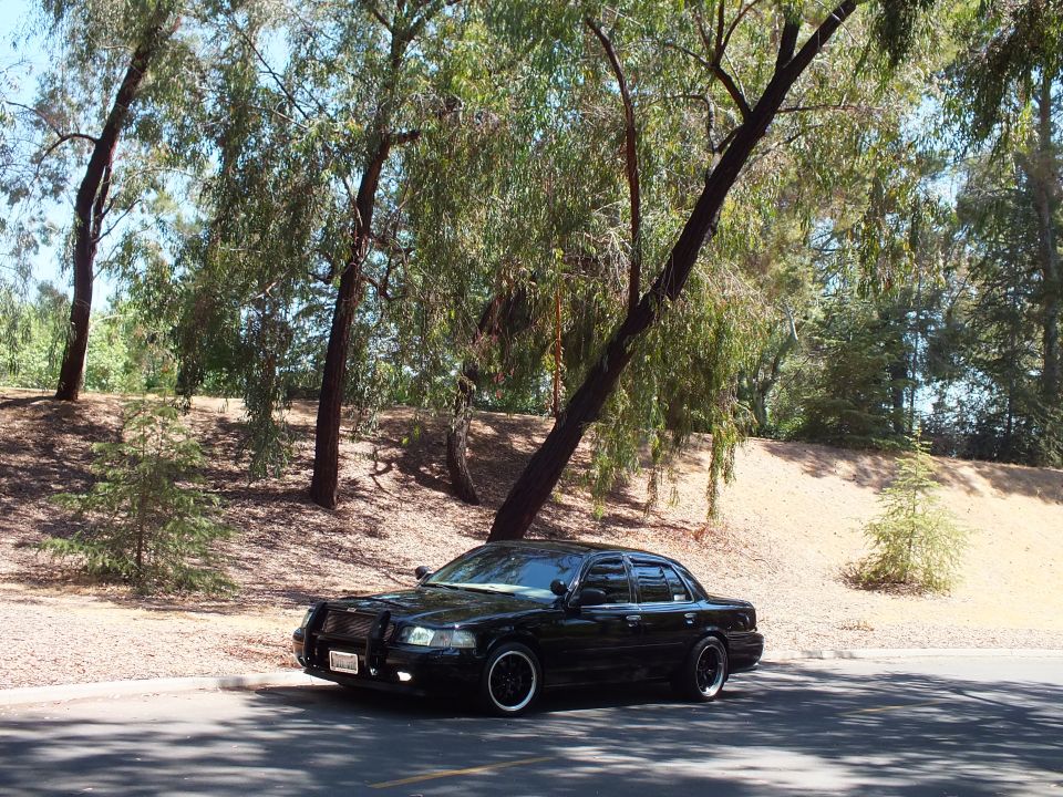 Lowered black Ford sedan with grille guard parked on a wooded park road