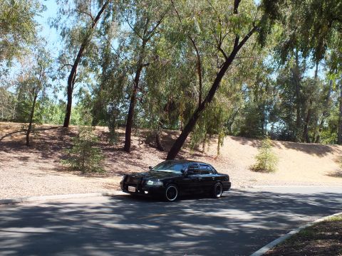 2003 Ford Crown Victoria - Front three-quarter view of a lowered black sedan on a tree-shaded park drive.