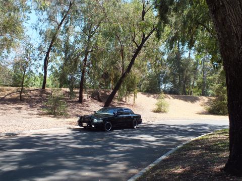 2003 Ford Crown Victoria - Distant front-quarter shot of a black Crown Victoria on a shaded park road.
