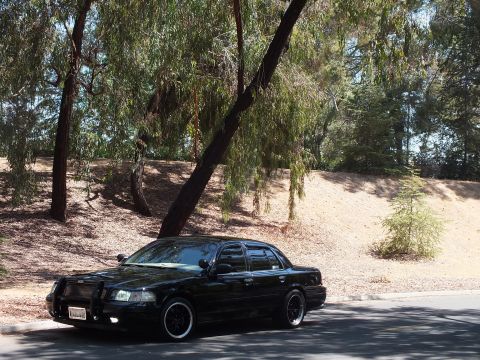 2003 Ford Crown Victoria - Front-quarter view of a lowered black sedan under hanging eucalyptus branches.