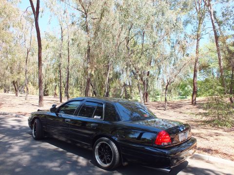 2003 Ford Crown Victoria - Lowered black Crown Victoria photographed from the rear among sparse trees.