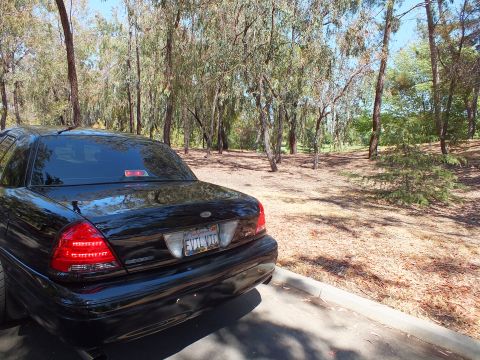 2003 Ford Crown Victoria - Tail and trunk of a black full-size sedan with a California license plate.