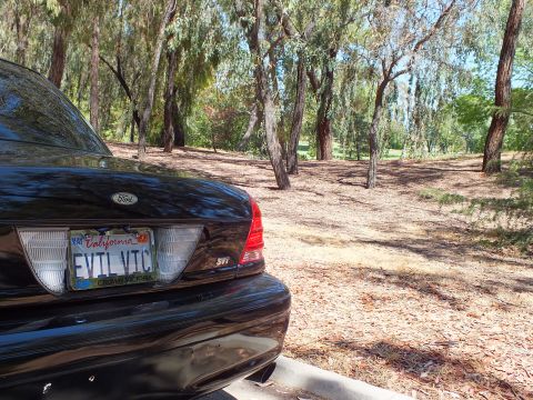 2003 Ford Crown Victoria - Detail of a black sedan tail light, Ford oval and personalized California plate.