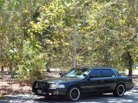 2003 Ford Crown Victoria - Lowered black sedan with pillar spotlight parked among green trees and brush.