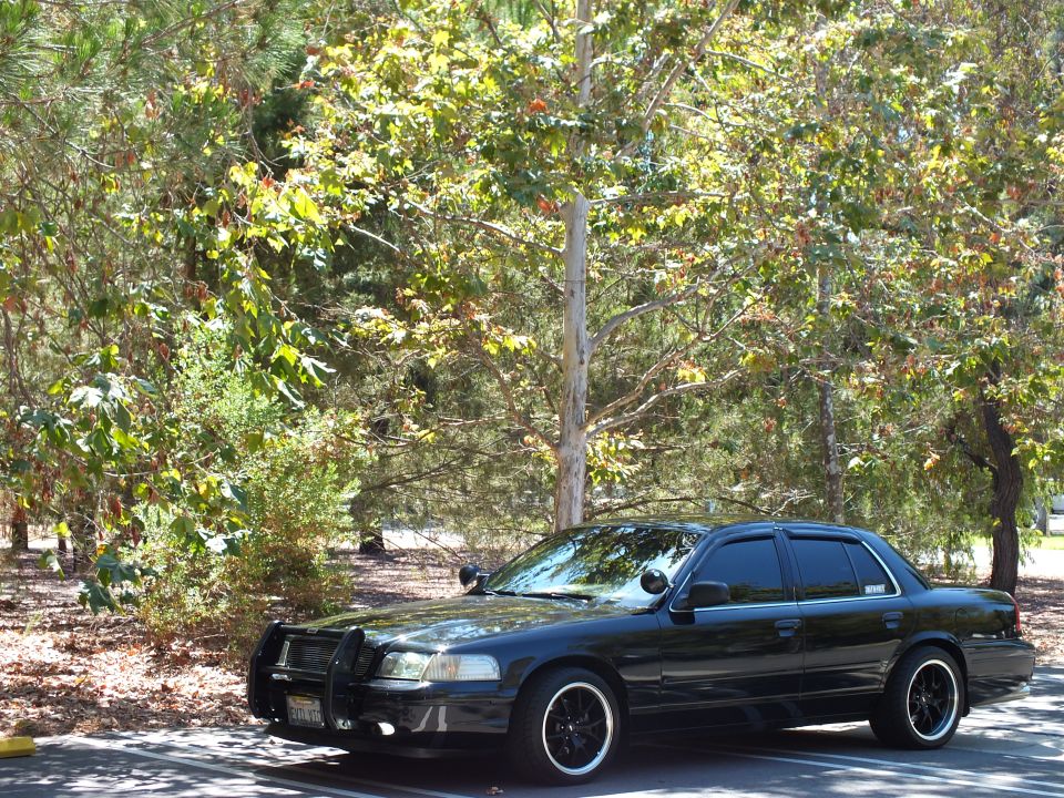 Black Ford Crown Victoria with spotlight and grille guard parked in shaded woods