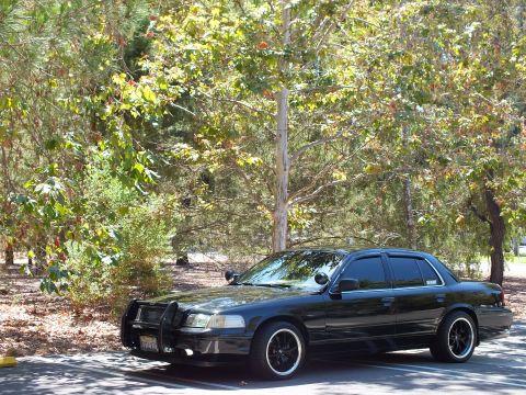 2003 Ford Crown Victoria - Front-quarter view of a lowered black sedan with push bar in a wooded lot.