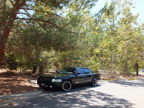 2003 Ford Crown Victoria - Black Crown Victoria sits at a distance under heavy tree canopy beside open lot