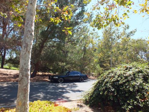 2003 Ford Crown Victoria - Lowered black sedan rests on a bend in the road beside dense greenery