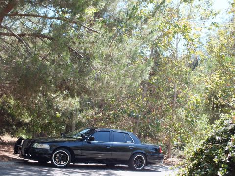 2003 Ford Crown Victoria - Blacked-out sedan shown from rear quarter parked beneath green pine branches