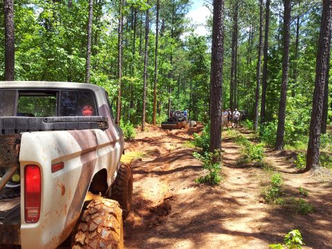 1979 Ford F-150 - Off-roading in the woods with a 1979 Ford F-150 and other trucks on a dirt path.