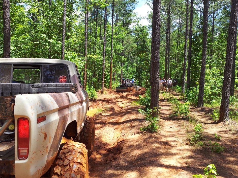 Muddy 1979 Ford F-150 rear view on forest trail with other off-road vehicles