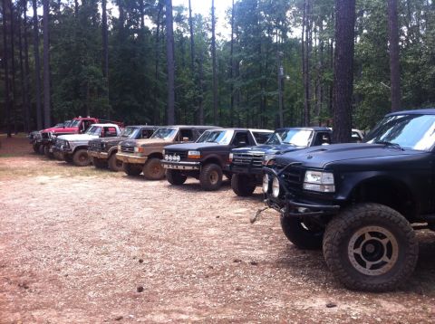 1979 Ford F-150 - Multiple Ford F-Series trucks from the 1990s are parked in a line in a wooded area.
