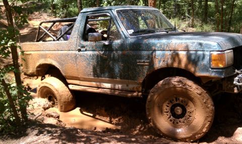 1979 Ford F-150 - This vehicle is stuck deep in the mud on a wooded trail.