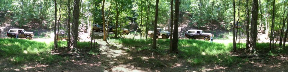 Brown Ford Bronco parked on grassy hill in woods, side view