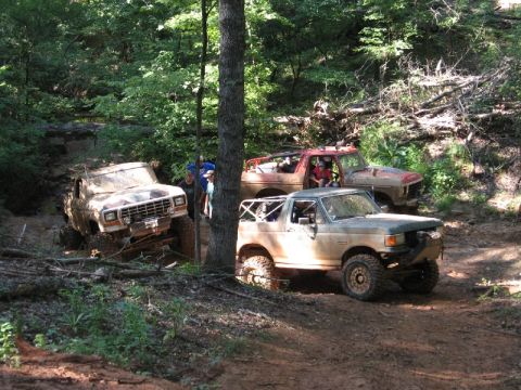 1979 Ford F-150 - Multiple off-road trucks navigate a muddy trail through a dense forest.