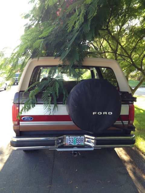 1991 Ford Bronco - This 1991 Ford Bronco is seen from the rear, with a spare tire mounted and branches protruding from the cargo space.