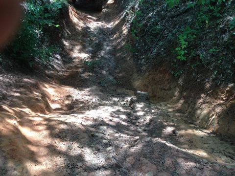 1979 Ford F-150 - A vehicle navigates a challenging off-road trail with steep, eroded banks and shadows from overhead trees.