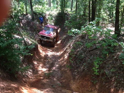 1979 Ford F-150 - A red 1979 Ford F-150 navigates a steep, muddy path through a forest.
