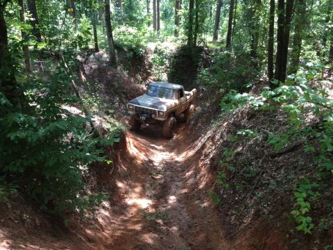 1979 Ford F-150 - A 1979 Ford F-150 navigates a steep, muddy path through a dense forest.